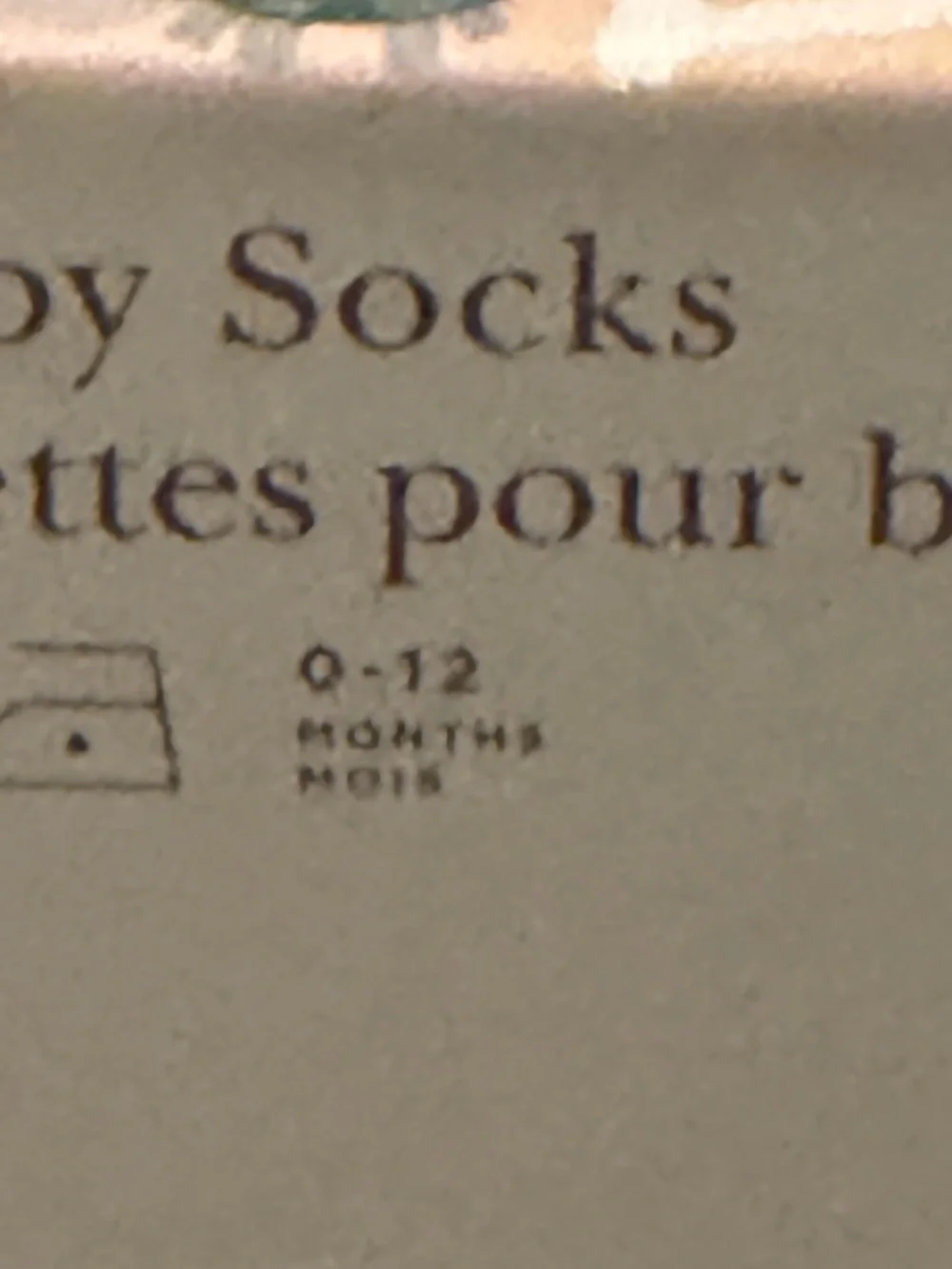 ELEGANT BABY infant GARDEN PICNIC NON SLIP SOCKS 6PK